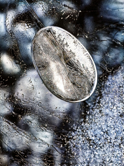 The Ice Medallion - a Photographic Art Artowrk by Pyry Luminen - Snowfall